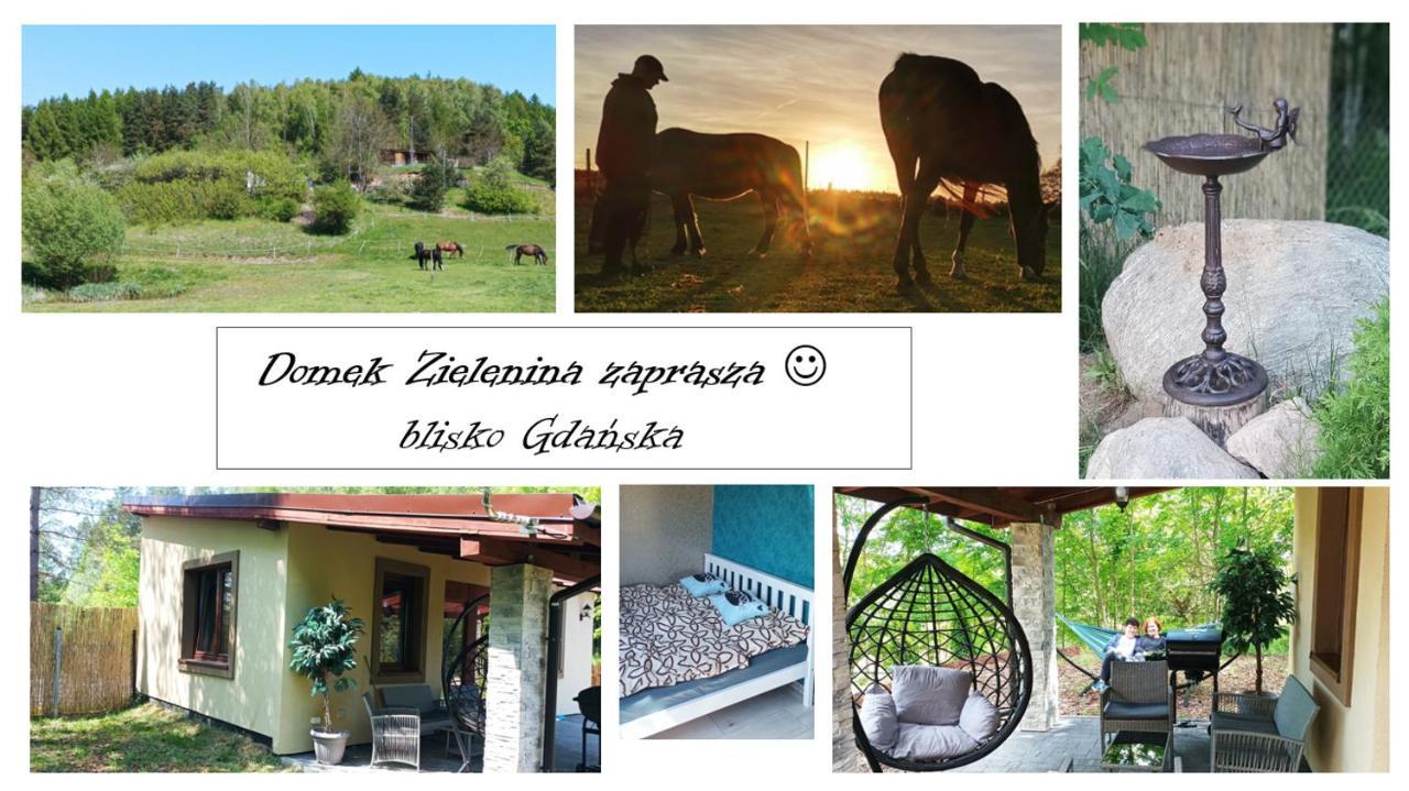 Domek Zielenina Mierzeszyn 外观 照片