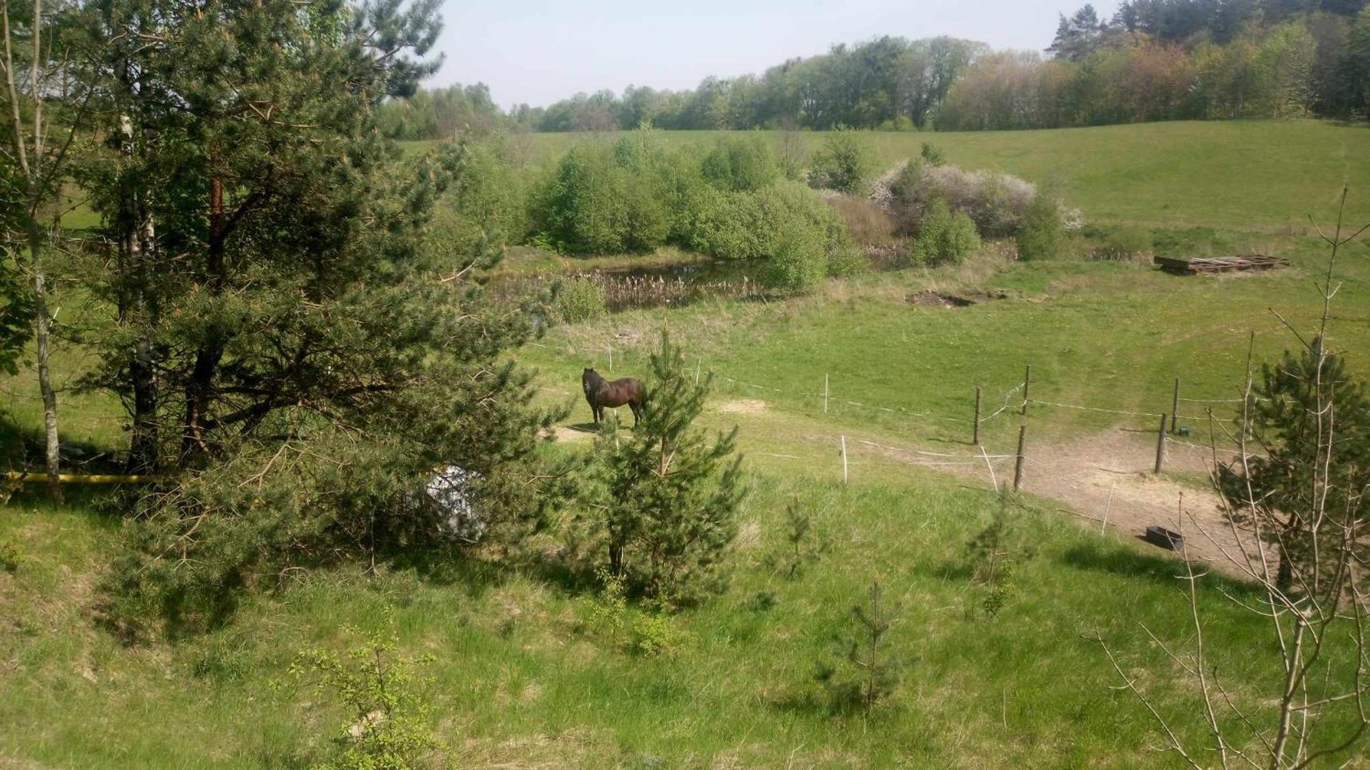 Domek Zielenina Mierzeszyn 外观 照片